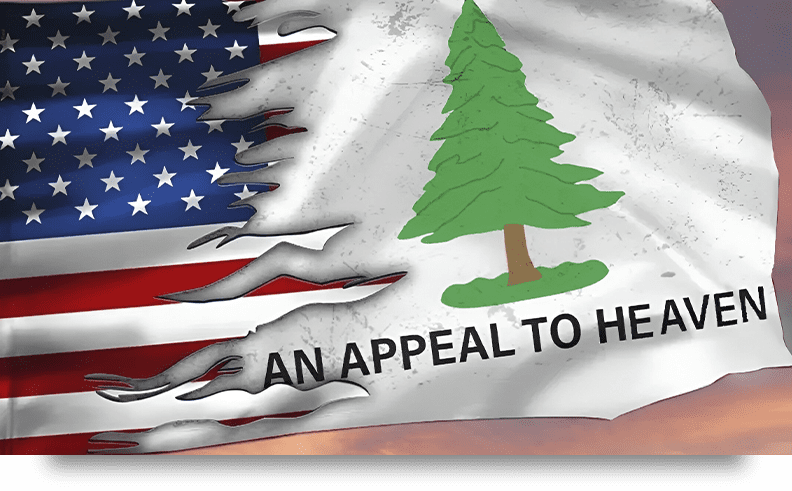 A flag with an appeal to help written on it.